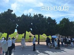 -小麦岛公园