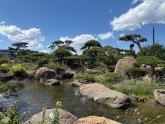 -罗红摄影艺术馆