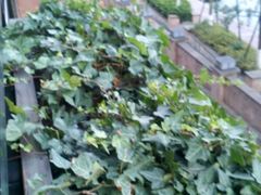 -黔蘑菇四季餐厅(观山湖店)