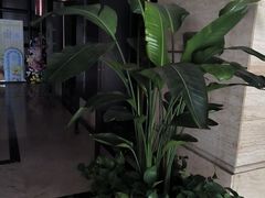 -洛阳宴·洛阳菜(南昌路店)