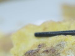 -海鲜街菜馆(海珠南路店)