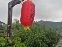 -慢丽江·云南野生菌土鸡锅(西山店)