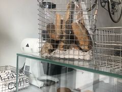 -常识咖啡common sense(春熙路店)