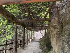 -雁荡山三折瀑景区