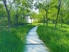 -天津东丽湖风景区