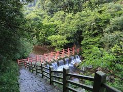 -银瓶嘴森林公园