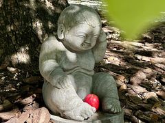 -龙华素斋(龙华路店)