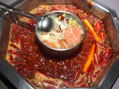 -蜀九香火锅(九眼桥店)