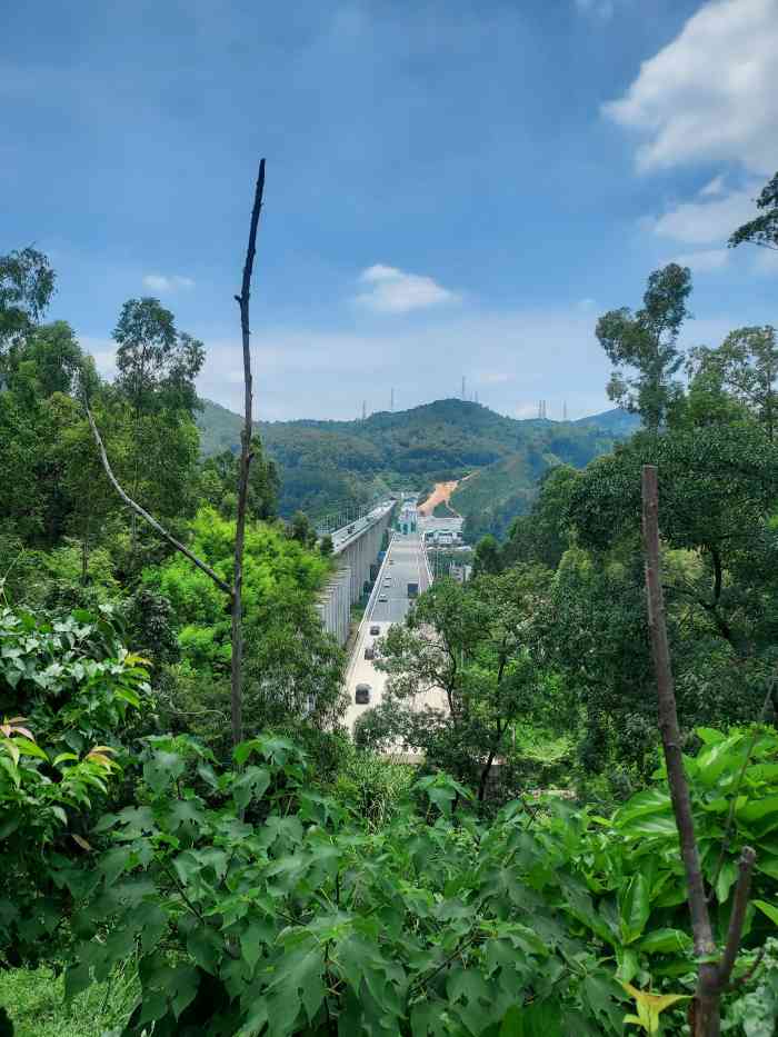 牛头山-"以前常常爬山的时候经常去走牛木线,牛头山."-大众点评移动版