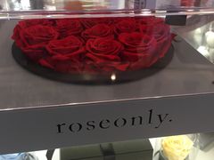-ROSEONLY诺誓(沈阳万象城店)