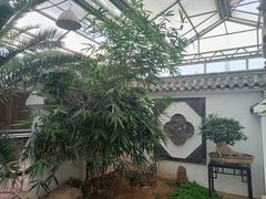 -石家庄市植物园