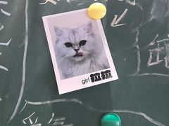 -藏猫猫咖啡主题馆(中央大道店)