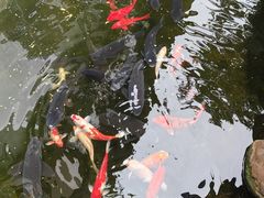 -味可道·黄圃人家园林酒家(兆丰店)