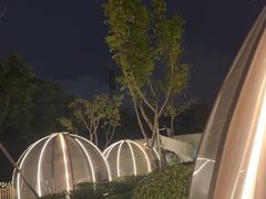 -悦见花开·花园里的火锅·露营·下午茶