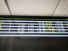-锐擎卡丁车主题乐园(郊野公园店)