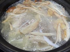 -探窝·竹笙椰子鸡(杨箕店)