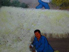 -后卫寨猫耳朵(后卫寨店)