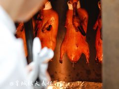 -秀儿四九城·新京菜(亚运村鸟巢店)