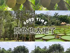-中国科学院西双版纳热带植物园