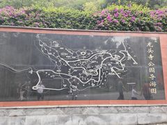 -龙头寺公园