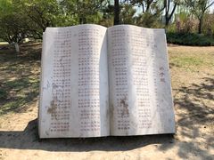 -太阳宫公园