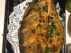 -九府羊·鲜羊火锅·烤串(新华路店)