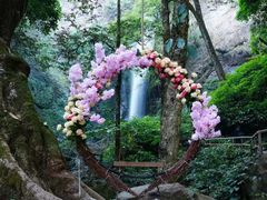 -莫里热带雨林景区