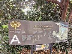 -墨尔本皇家植物园