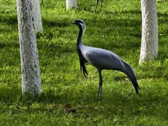 -艾溪湖湿地公园