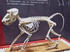 -国家自然博物馆