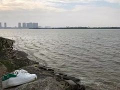 -瑶湖郊野森林公园
