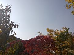 -仁寿山
