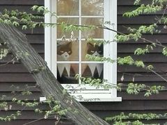 -三鹰之森吉卜力美术馆