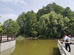 -采石矶景区