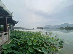 -茗醉园茶楼