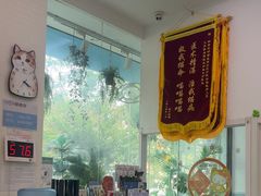 -纳吉亚猫专科动物医院·北北分院