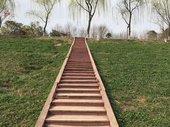 -洨河生态公园