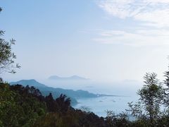 -广东惠东海龟国家级自然保护区