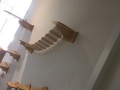 -Heymao猫咖.咖啡厅(东门店)