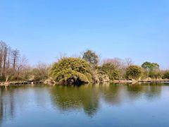 -西溪国家湿地公园