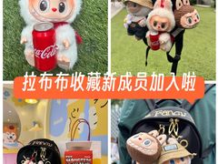 -泡泡玛特POPMART(天环购物中心店)