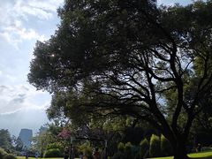 -云溪植物园