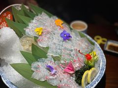 多吉鱼刺身-松子料理(亮马桥店)
