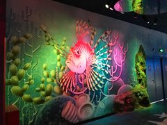 -沈阳海洋探索中心