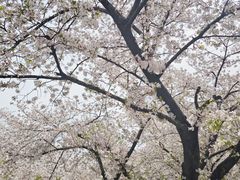 -苏州上方山国家森林公园