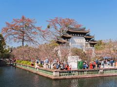 -宝墨园景区