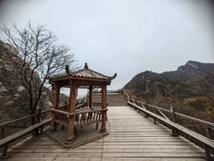 -大岭沟猕猴桃谷风景区