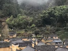 -杨家堂村