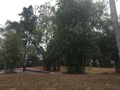 -晓港公园