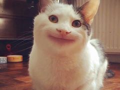 -新达口腔(华东理工大学店)